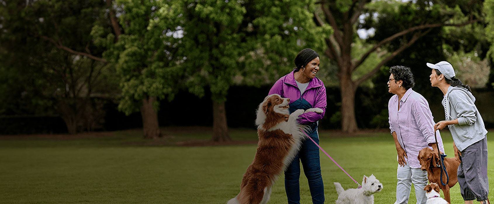 Three women and four dogs in a park